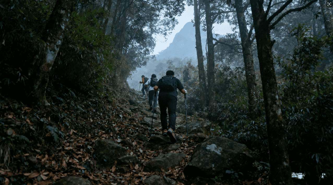 VPN加速器691在企业网络中的应用实践